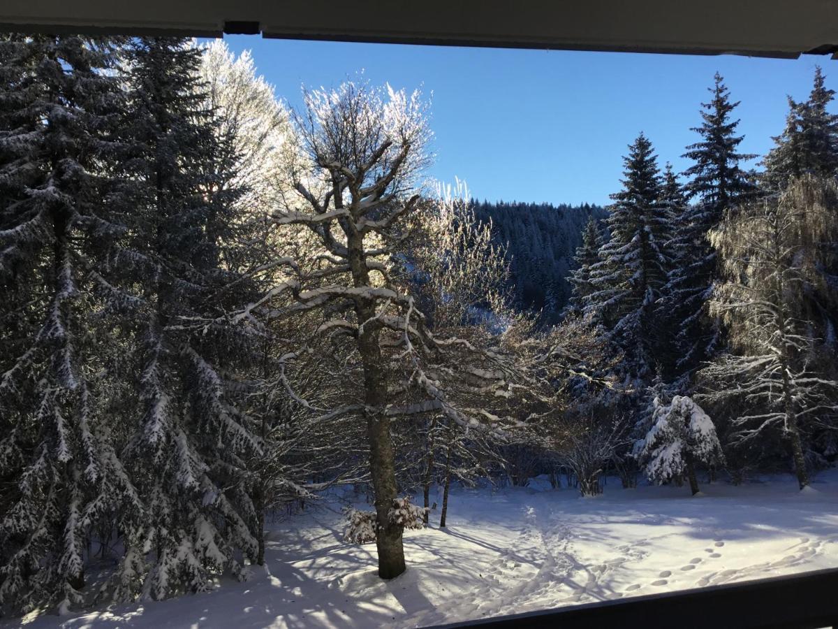 Lo Vedelier D'Aubrac Apartment ลาโยล ภายนอก รูปภาพ